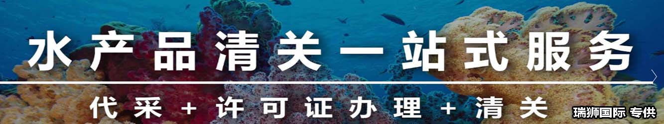 退單提示不允許異地報關，如何處理? 以及如何正常報關，防止被海關退單？