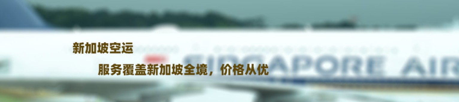 新加坡海運(yùn)專線 新加坡空運(yùn)價(jià)格 新加坡快遞查詢 新加坡海空鐵多式聯(lián)運(yùn)國際貨運(yùn)代理