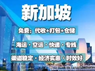 新加坡海運(yùn)專線 新加坡空運(yùn)價(jià)格 新加坡快遞查詢 新加坡海空鐵多式聯(lián)運(yùn)國際貨運(yùn)代理