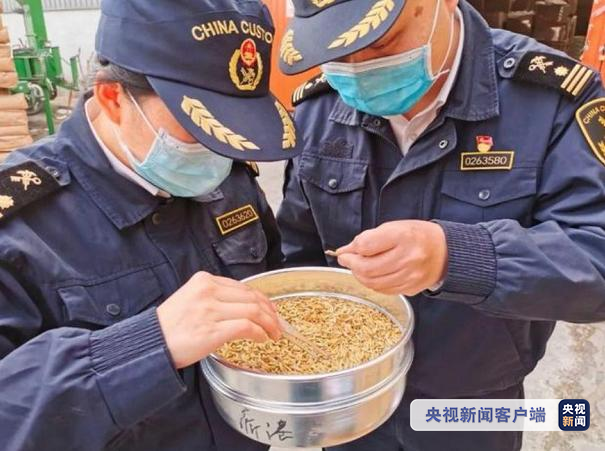 國際物流 國際貨運代理 貨運代理公司 航空國際貨運 海空聯(lián)運 多式聯(lián)運